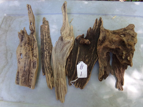 Dragon Wood