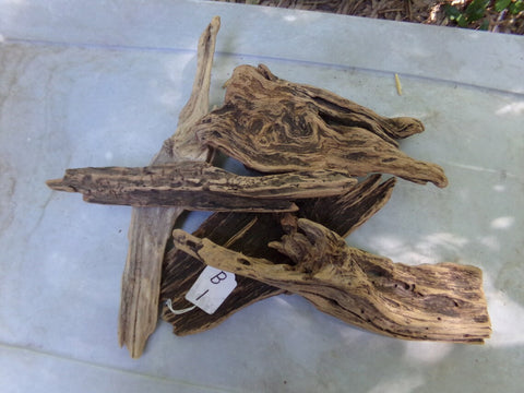 Dragon Wood