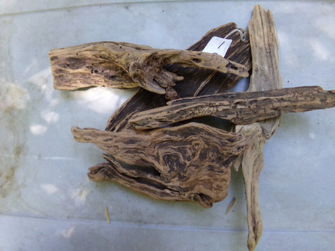 Dragon Wood