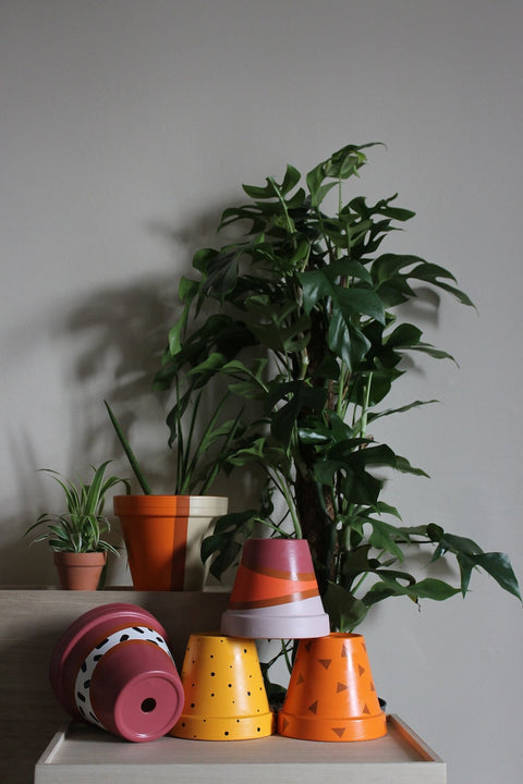 Plantscape Studio