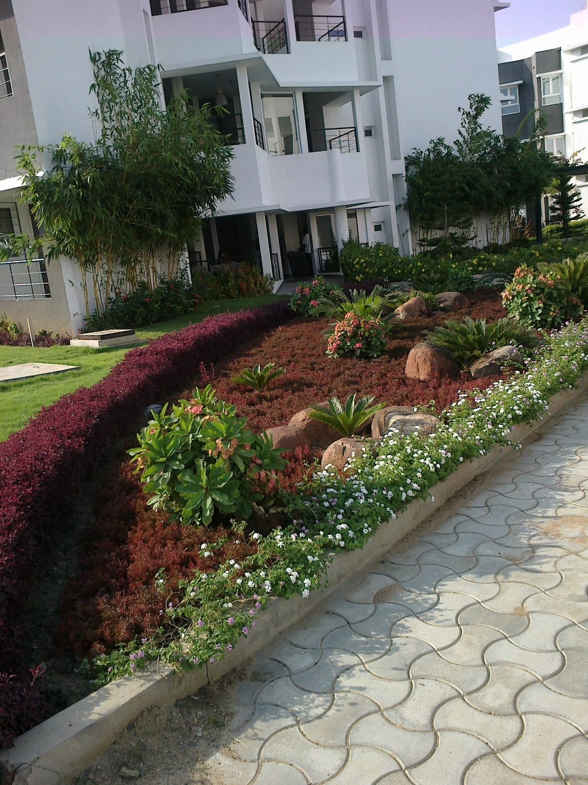 Outdoor Garden Landscape