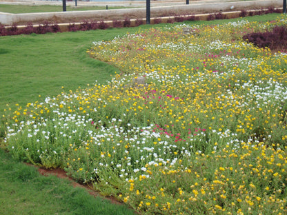 Outdoor Garden Landscape