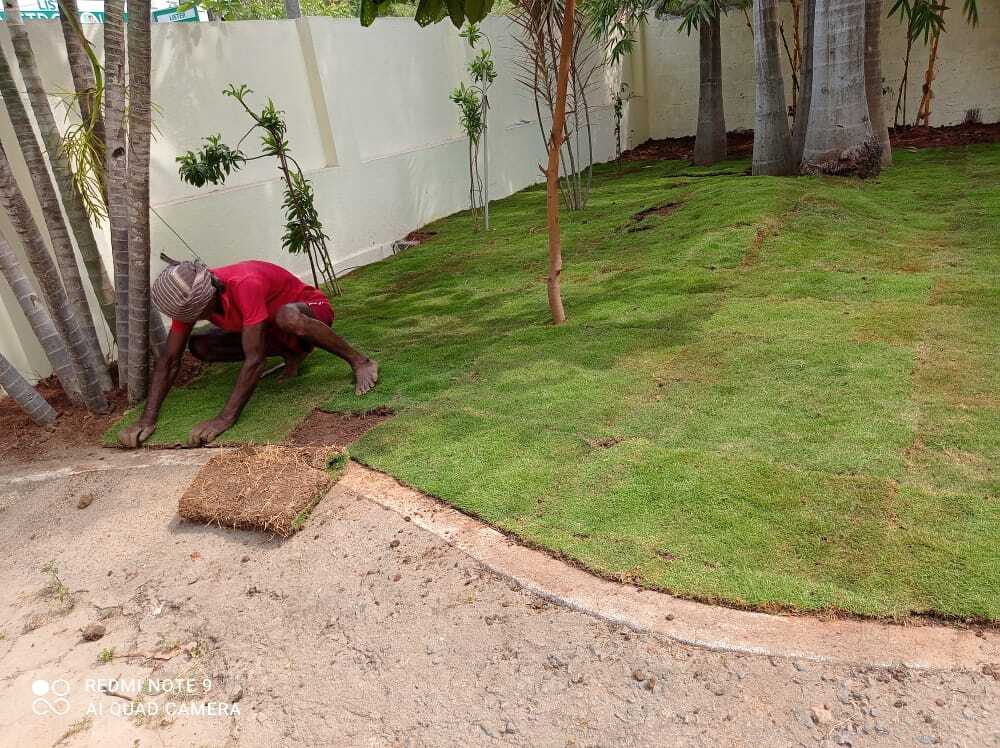 Outdoor Garden Landscape