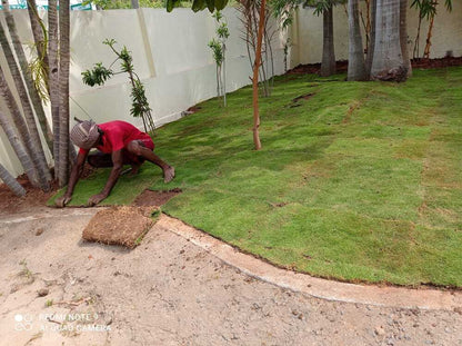 Outdoor Garden Landscape