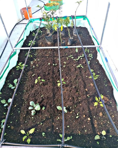 Terrace Gardening