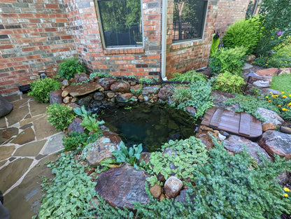 Ponds & Fountains - Setup & Maintenance