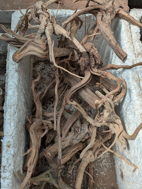 Malaysian Driftwood