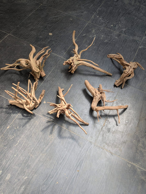 Malaysian Driftwood