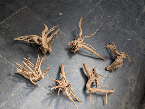 Malaysian Driftwood