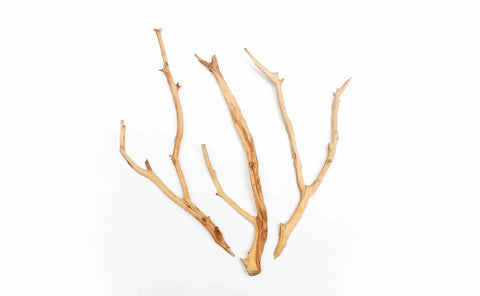 Manzanita Driftwood