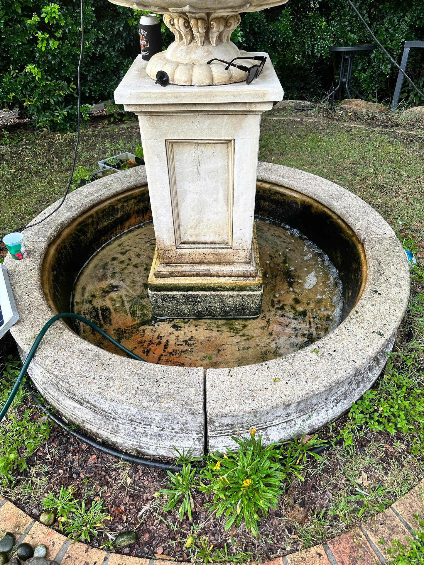 Ponds & Fountains - Setup & Maintenance