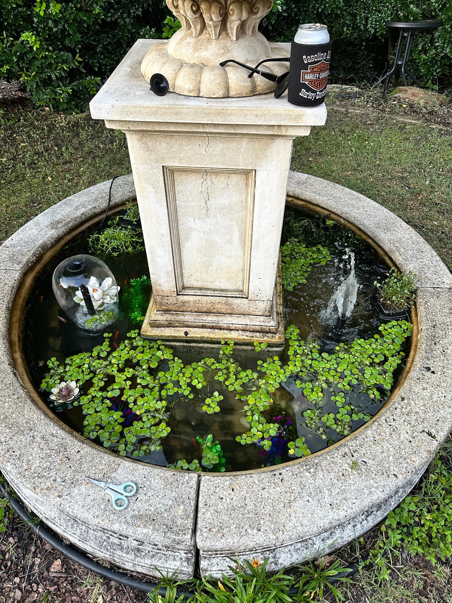 Ponds & Fountains - Setup & Maintenance