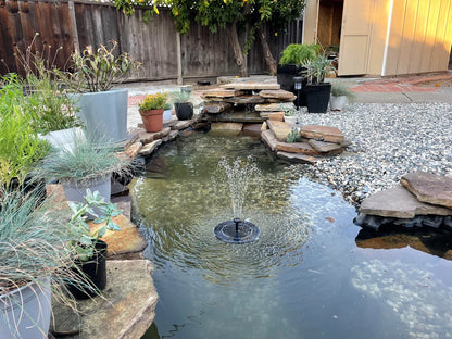 Ponds & Fountains - Setup & Maintenance