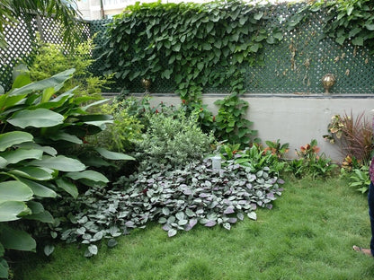 Outdoor Garden Landscape