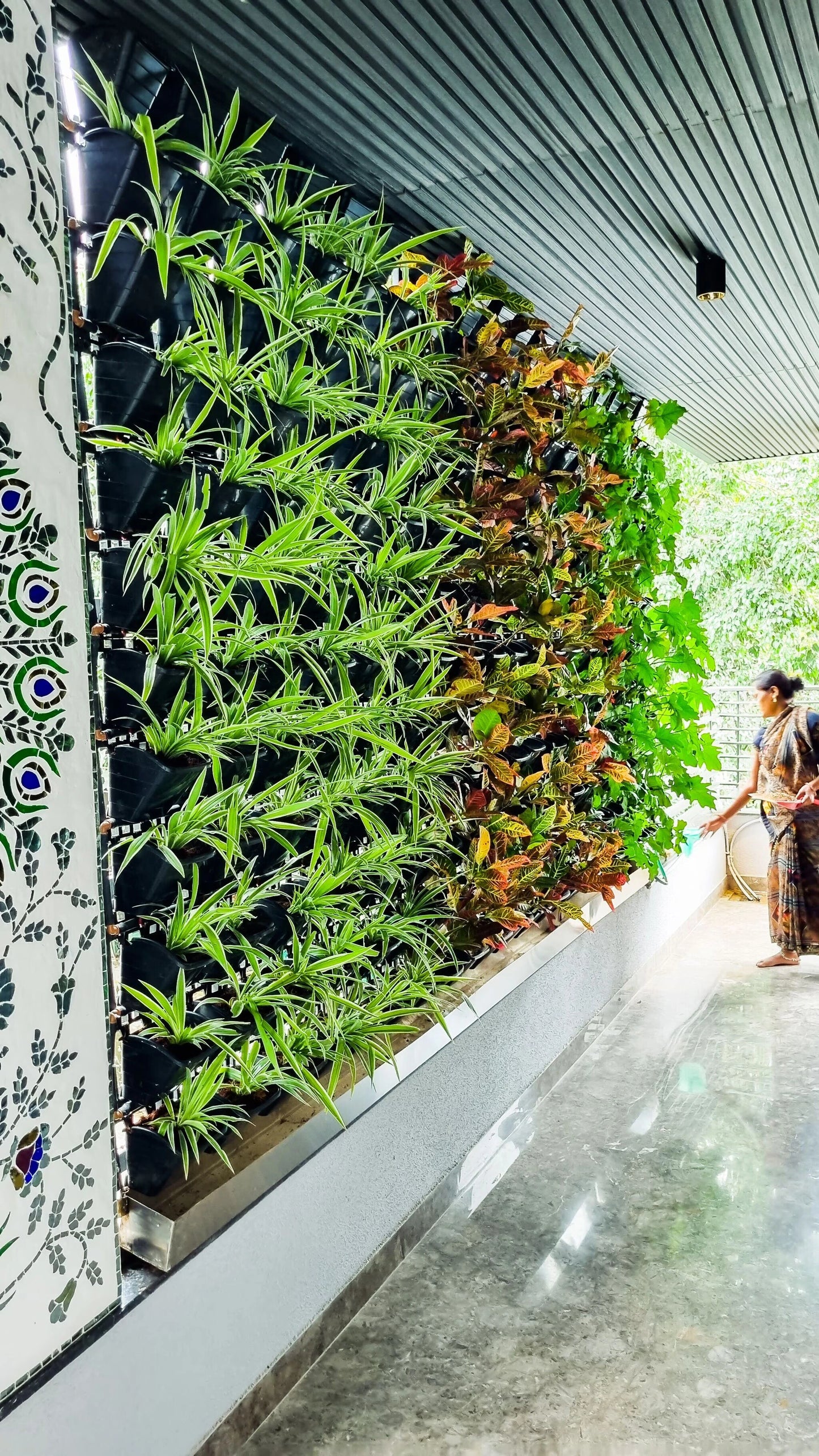 Vertical Garden Installation