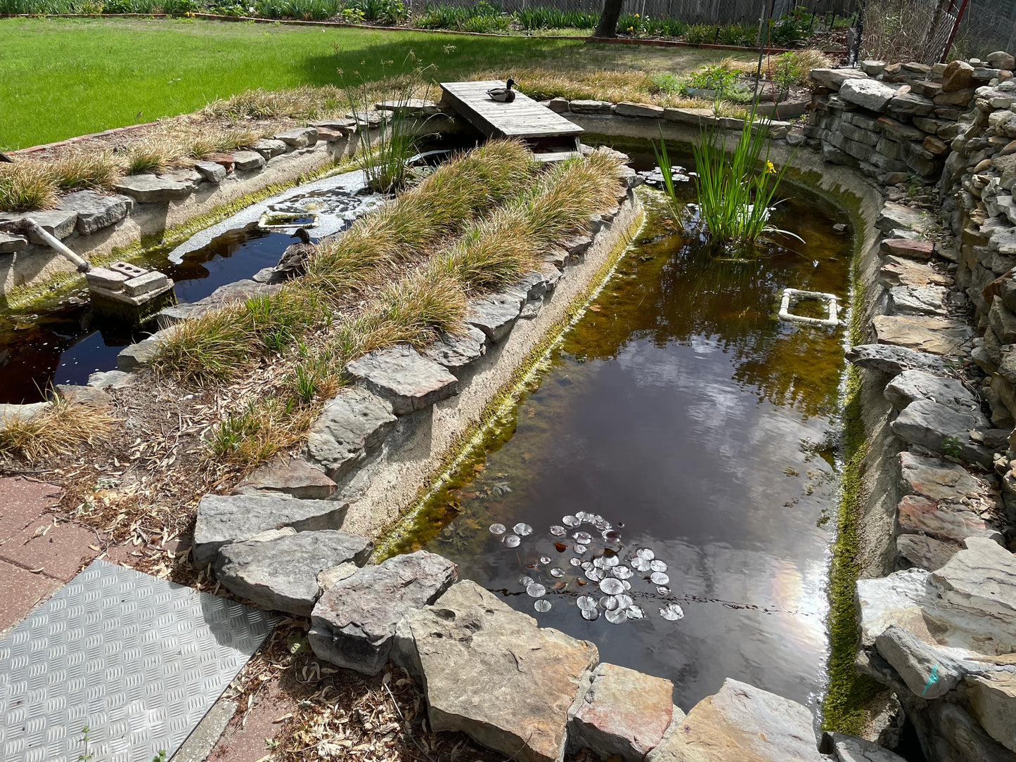 Ponds & Fountains - Setup & Maintenance