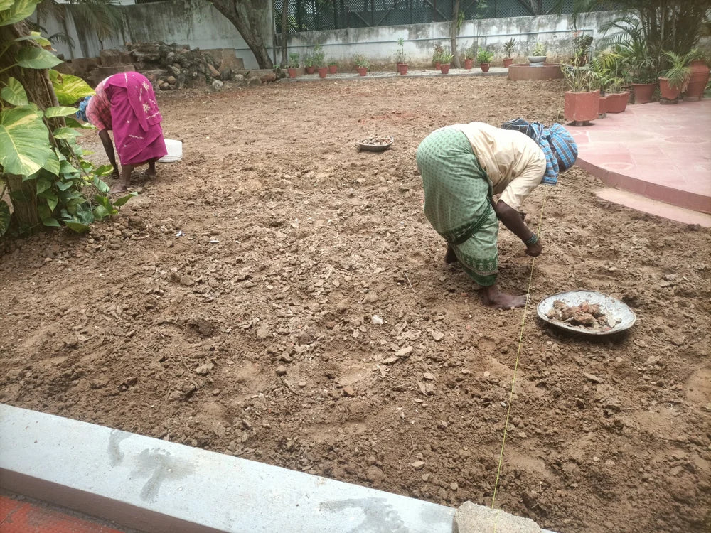 Outdoor Garden Landscape