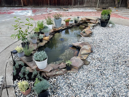 Ponds & Fountains - Setup & Maintenance