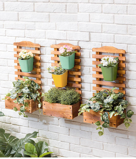 Ladder Plant Box