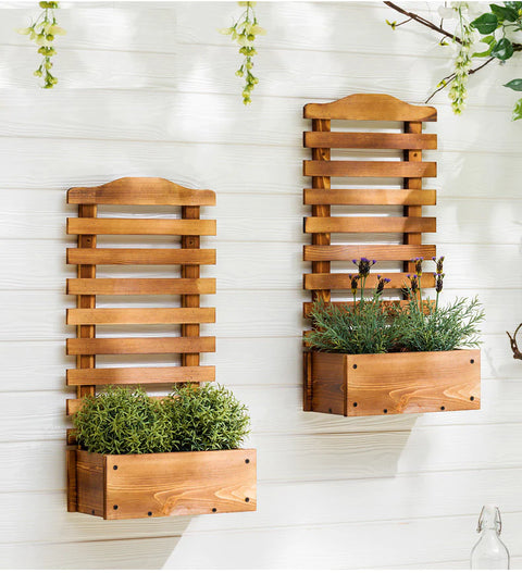 Ladder Plant Box