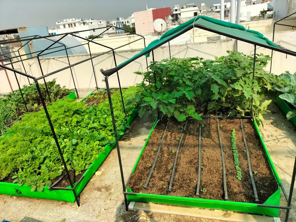 Terrace Gardening