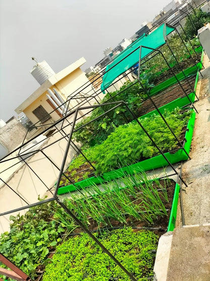 Terrace Gardening