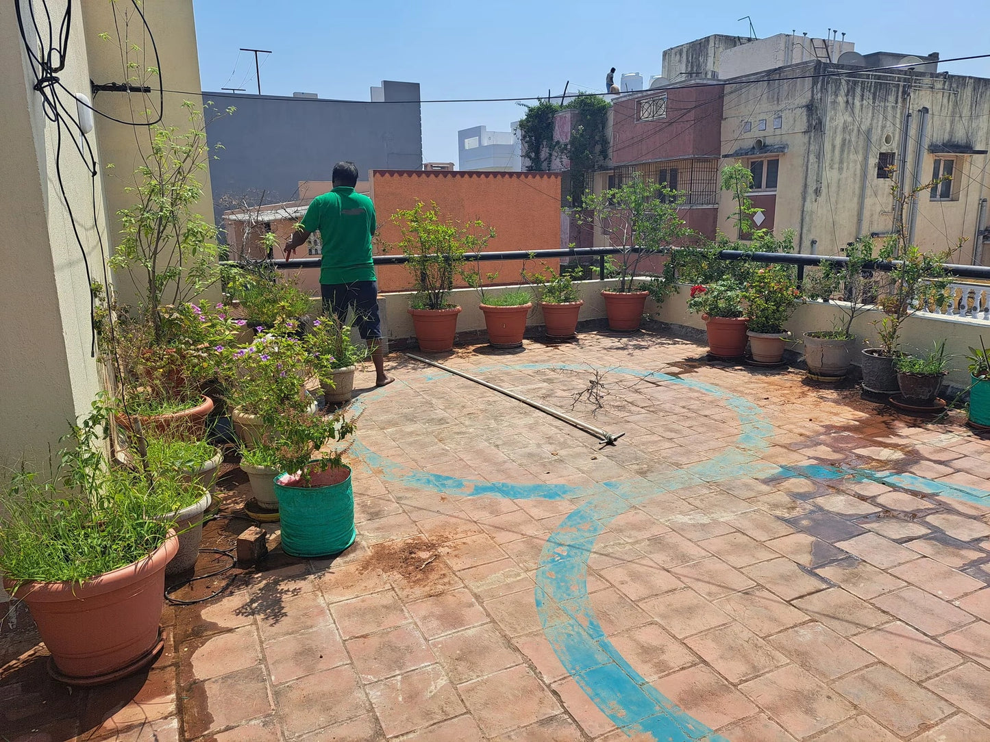 Terrace Gardening