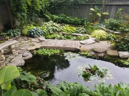 Ponds & Fountains - Setup & Maintenance