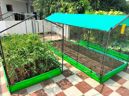 Terrace Gardening