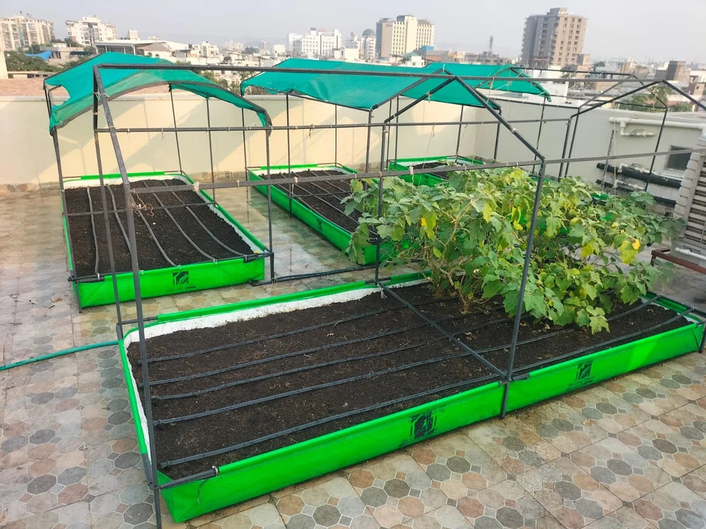 Terrace Gardening